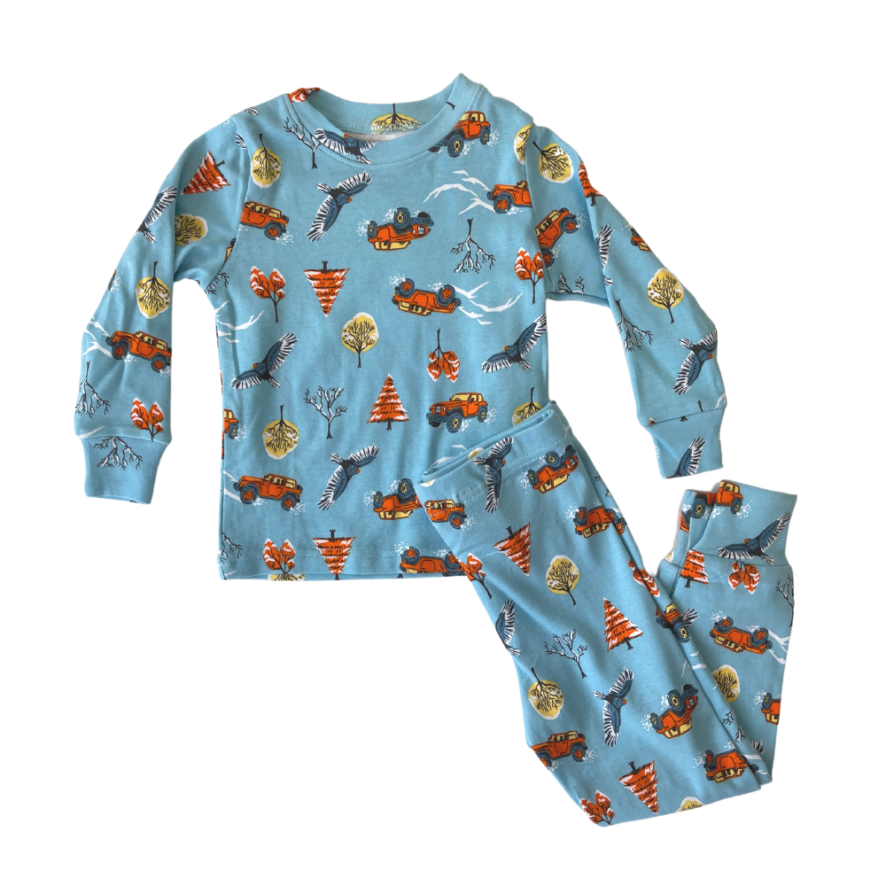 Kirkland Signature Toddler Pyjamas 2 Pack