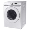 Samsung Electric Dryer with SmartCare