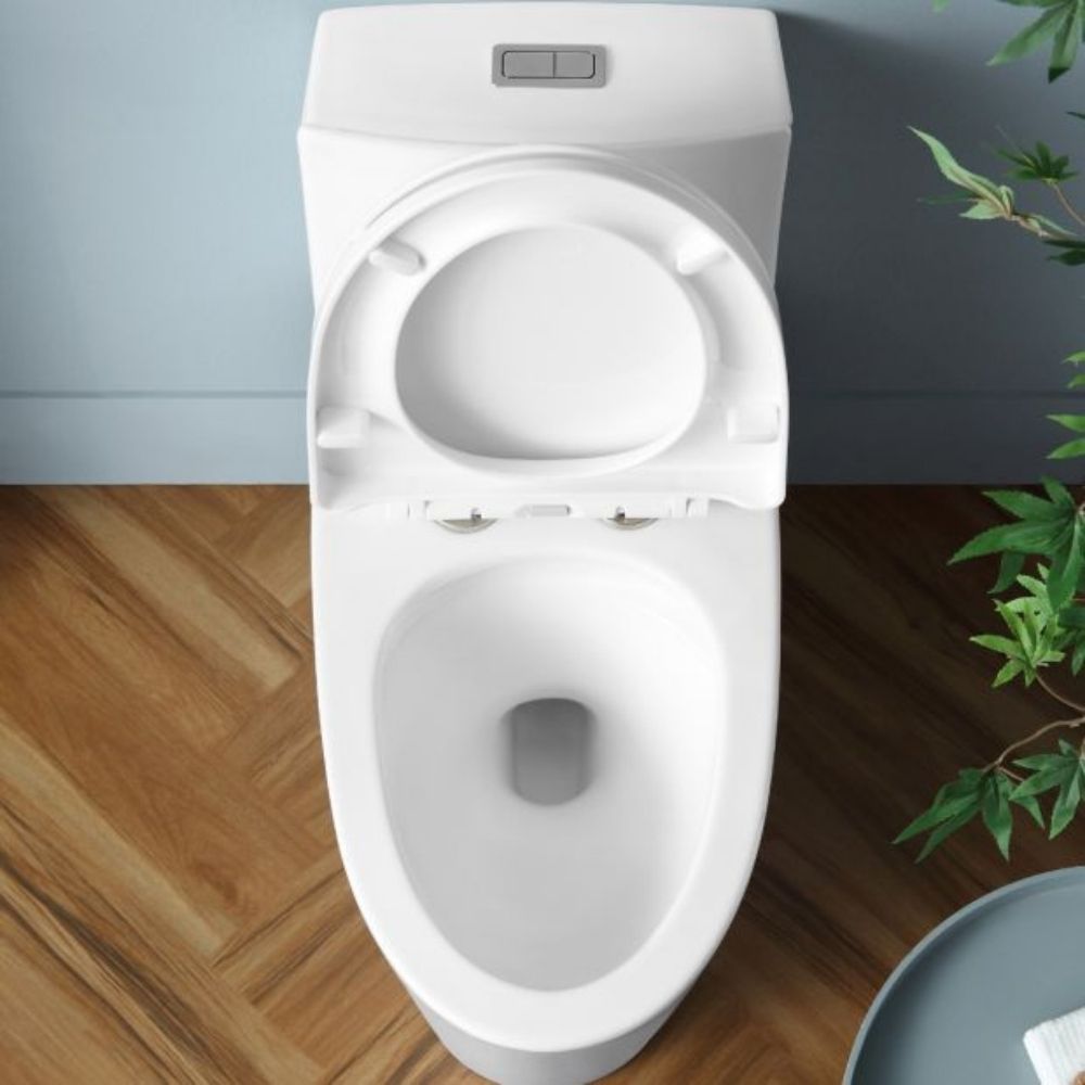 OVE Kane Buxton II 1-Piece Dual Flush Toilet